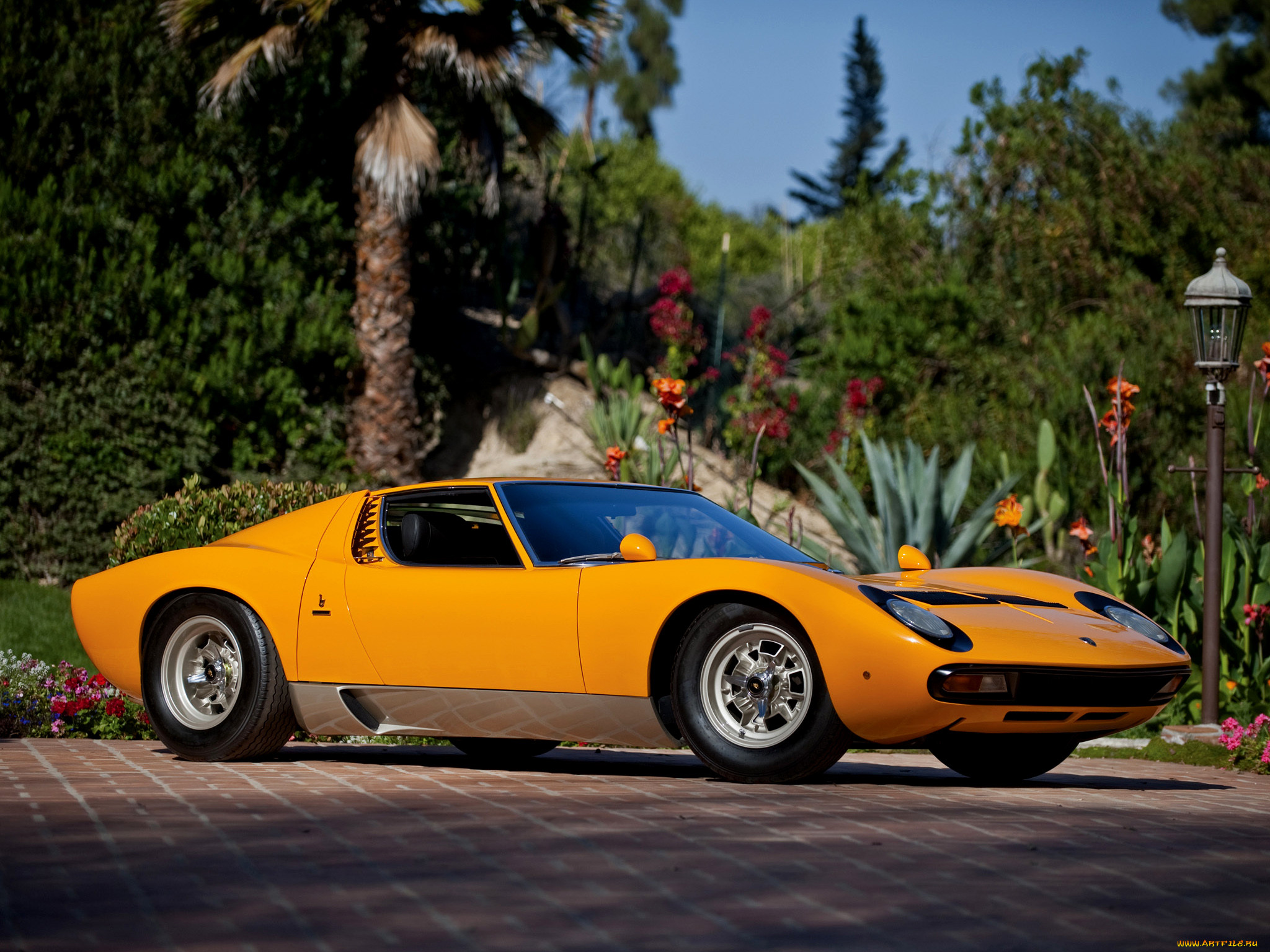, lamborghini